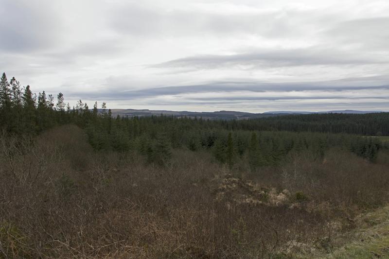 Cjp_2017-04-02_162014.jpg