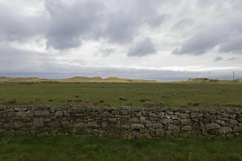 Cjp_2017-04-03_074830.jpg