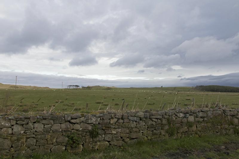 Cjp_2017-04-03_074858.jpg