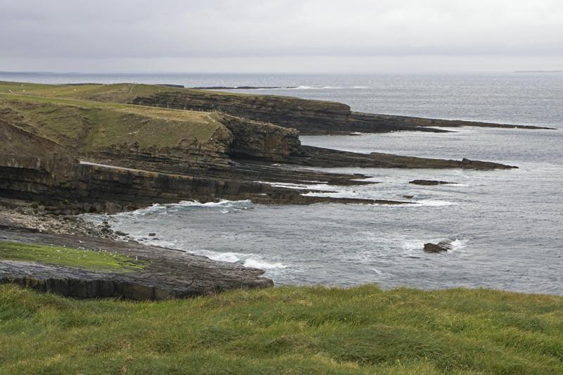 Cjp_2017-04-03_075710.jpg