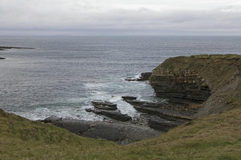 Cjp_2017-04-03_075742.jpg