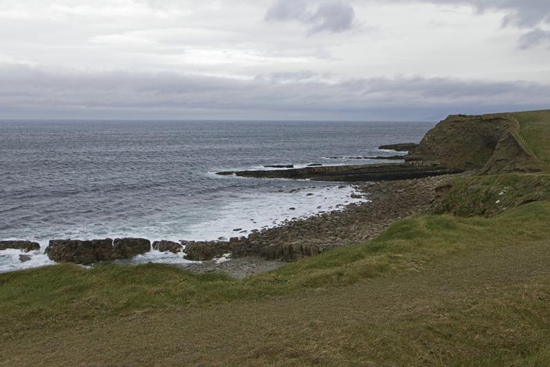 Cjp_2017-04-03_075928.jpg