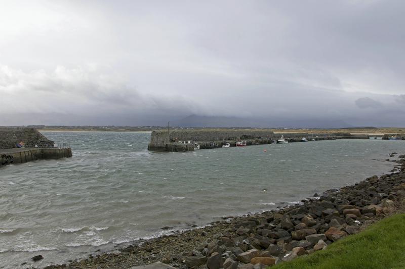 Cjp_2017-04-03_081312.jpg