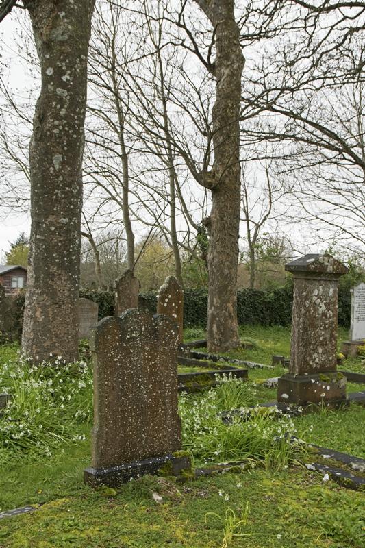 Cjp_2017-04-03_084600.jpg