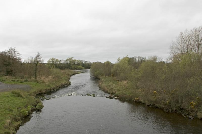 Cjp_2017-04-03_085848.jpg