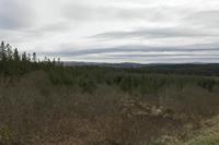 Cjp_2017-04-02_162014.jpg