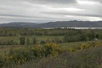 Cjp_2017-04-02_163746.jpg
