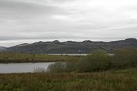 Cjp_2017-04-02_164530.jpg