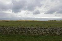 Cjp_2017-04-03_074830.jpg