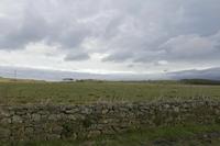 Cjp_2017-04-03_074858.jpg