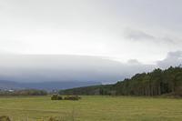 Cjp_2017-04-03_075254.jpg