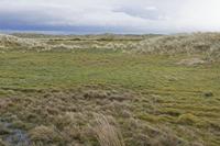 Cjp_2017-04-03_075320.jpg