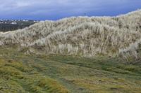 Cjp_2017-04-03_075338.jpg