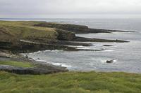 Cjp_2017-04-03_075710.jpg