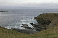 Cjp_2017-04-03_075742.jpg