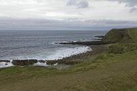 Cjp_2017-04-03_075928.jpg