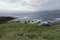 Cjp_2017-04-03_080216.jpg