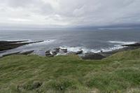 Cjp_2017-04-03_080220.jpg