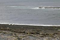 Cjp_2017-04-03_080938.jpg
