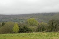 Cjp_2017-04-03_084358.jpg