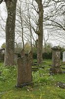 Cjp_2017-04-03_084600.jpg