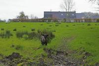 Cjp_2017-04-03_085614.jpg