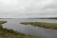 Cjp_2017-04-03_114210.jpg