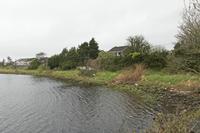 Cjp_2017-04-03_115022.jpg