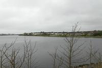 Cjp_2017-04-03_115318.jpg
