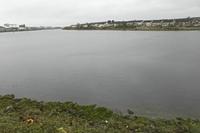 Cjp_2017-04-03_115406.jpg