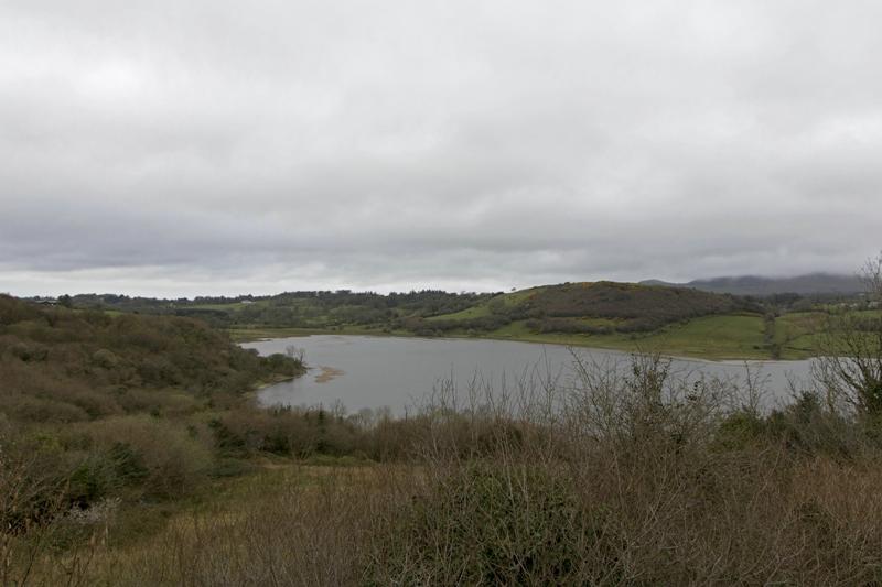 Cjp_2017-04-03_132058.jpg