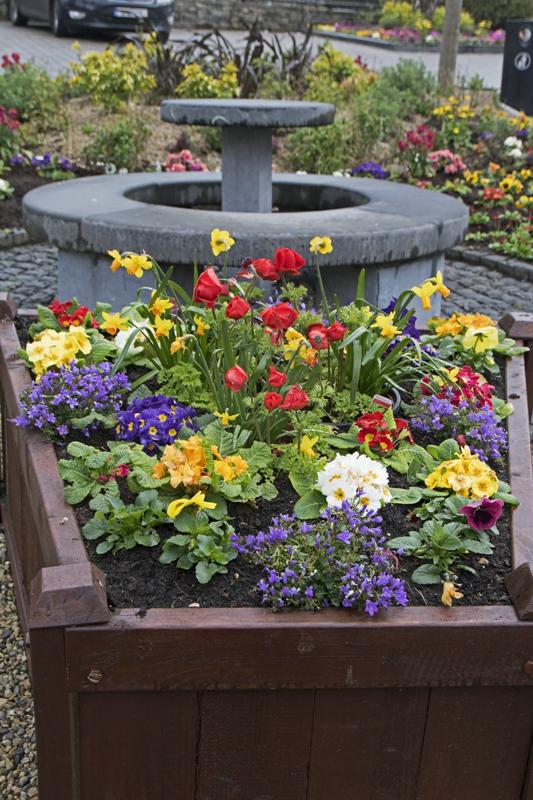 Cjp_2017-04-03_154834.jpg