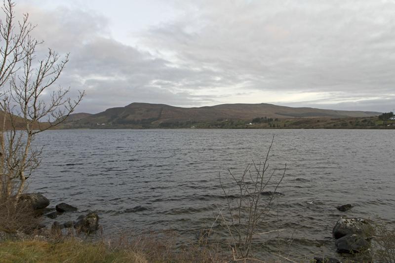 Cjp_2017-04-04_061012.jpg