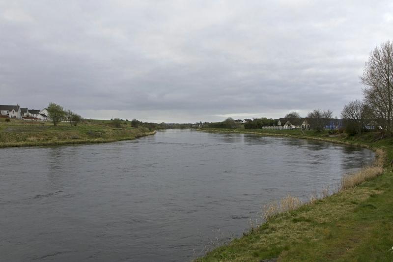 Cjp_2017-04-04_070310.jpg