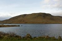 Cjp_2017-04-04_061858.jpg