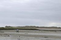 Cjp_2017-04-04_081140.jpg