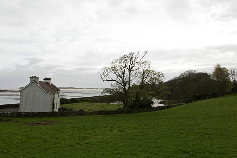 Cjp_2017-04-04_083050.jpg