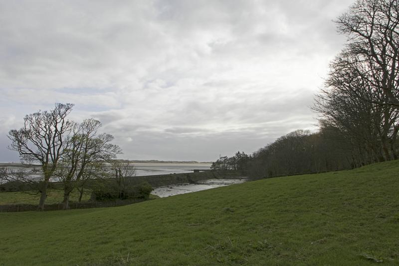 Cjp_2017-04-04_083116.jpg