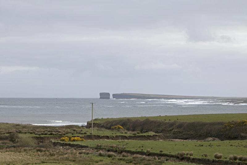 Cjp_2017-04-04_091728.jpg