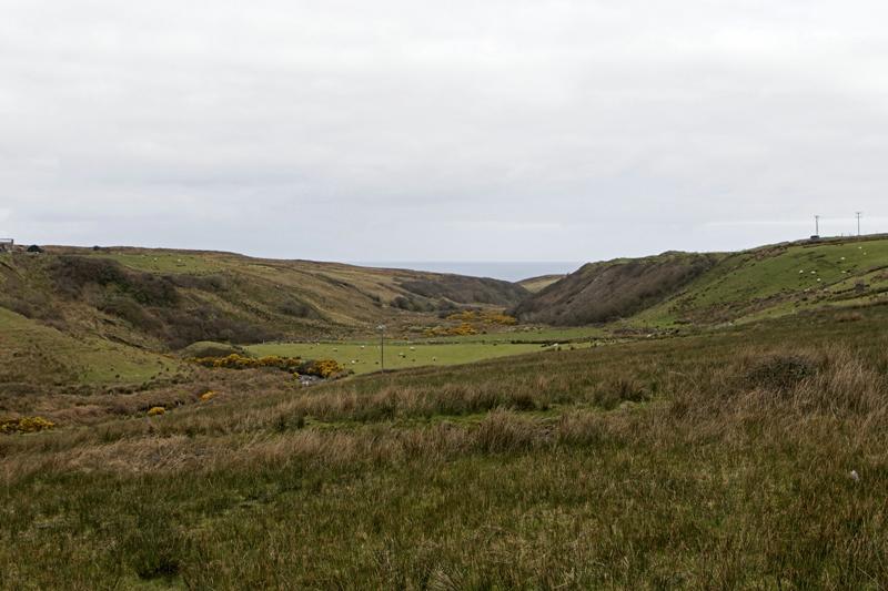 Cjp_2017-04-04_092210.jpg