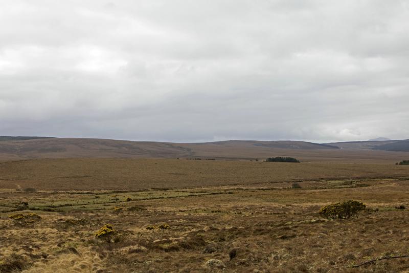 Cjp_2017-04-04_094836.jpg