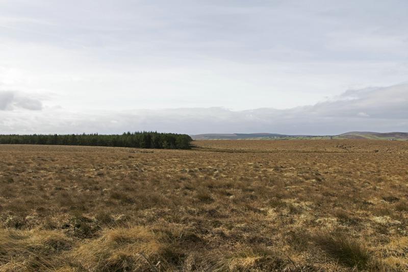 Cjp_2017-04-04_100048.jpg