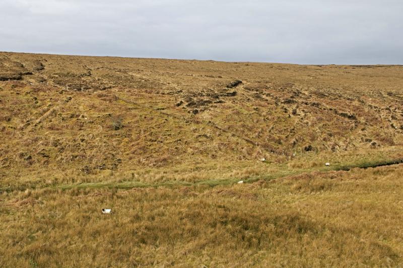 Cjp_2017-04-04_100336.jpg