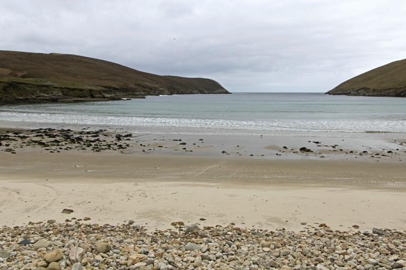 Cjp_2017-04-04_101256.jpg