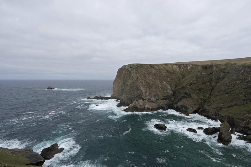Cjp_2017-04-04_120918.jpg