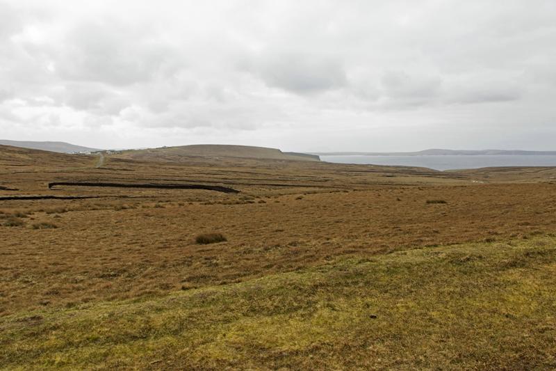 Cjp_2017-04-04_121146.jpg