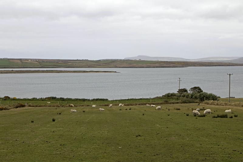 Cjp_2017-04-04_130120.jpg