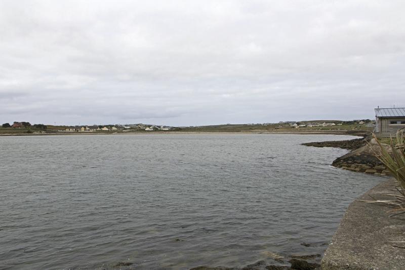 Cjp_2017-04-04_131938.jpg