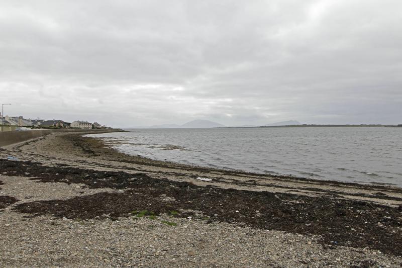 Cjp_2017-04-04_132234.jpg