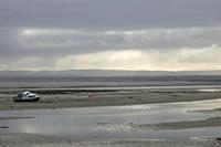 Cjp_2017-04-04_081352.jpg
